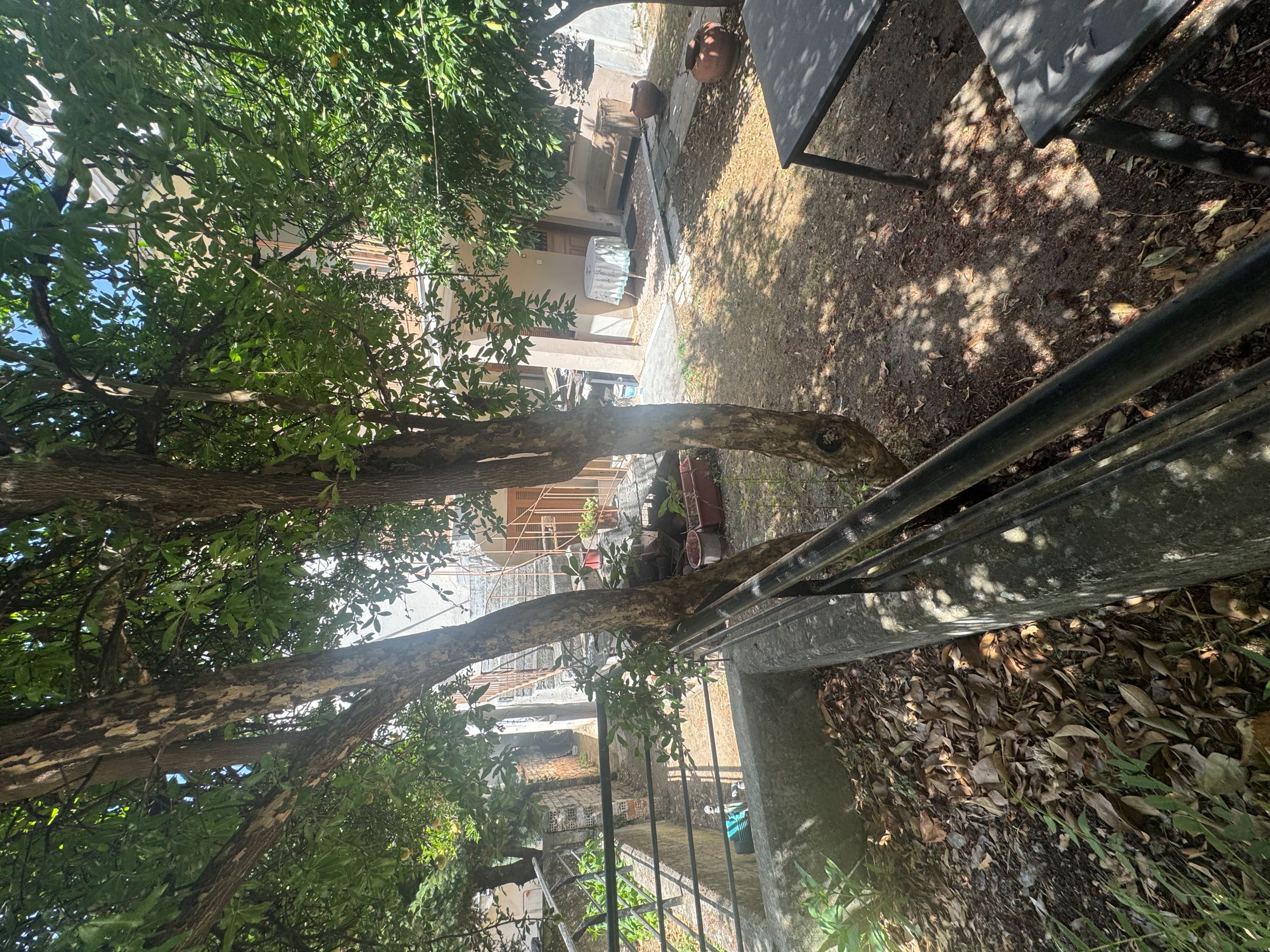 Οικόπεδο με κτίσμα  σε πλειστηριασμό Δήμος Τρικκαίων