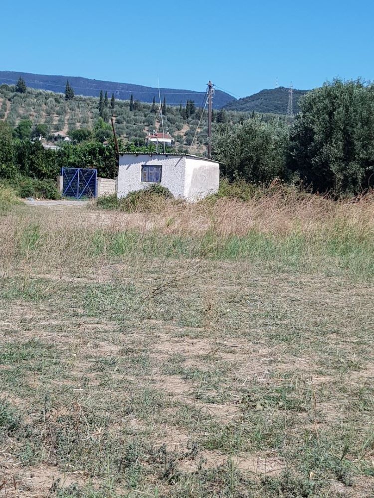 Αγροτεμάχιο με κτίσμα  σε πλειστηριασμό Δήμος Αμφιλοχίας