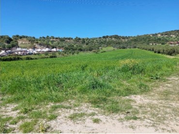 Αγροτεμάχιο 13.54 τ.μ. σε πλειστηριασμό Δήμος Κασσάνδρας