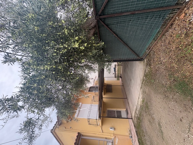 Αποθήκη  σε πλειστηριασμό Δήμος Ορχομενού