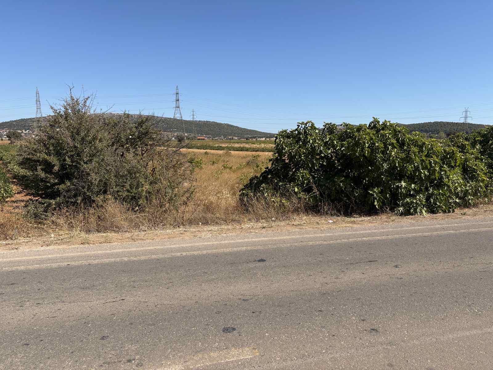 Αγροτεμάχιο  σε πλειστηριασμό Δήμος Τανάγρας