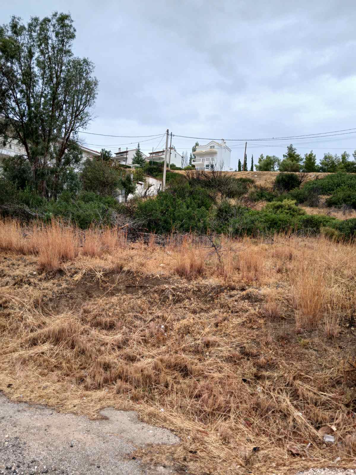 Οικόπεδο  σε πλειστηριασμό Municipality of Pallini