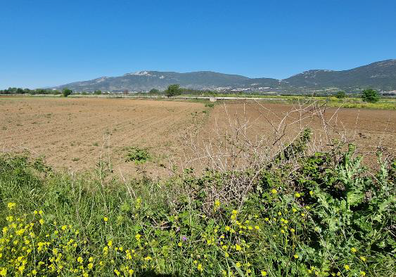 Αγροτεμάχιο 11250 sq.m. σε πλειστηριασμό Municipality of Nestos