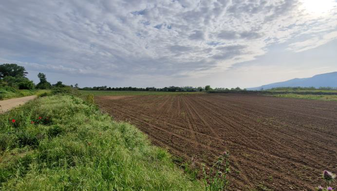Αγροτεμάχιο 11250 sq.m. σε πλειστηριασμό Municipality of Nestos
