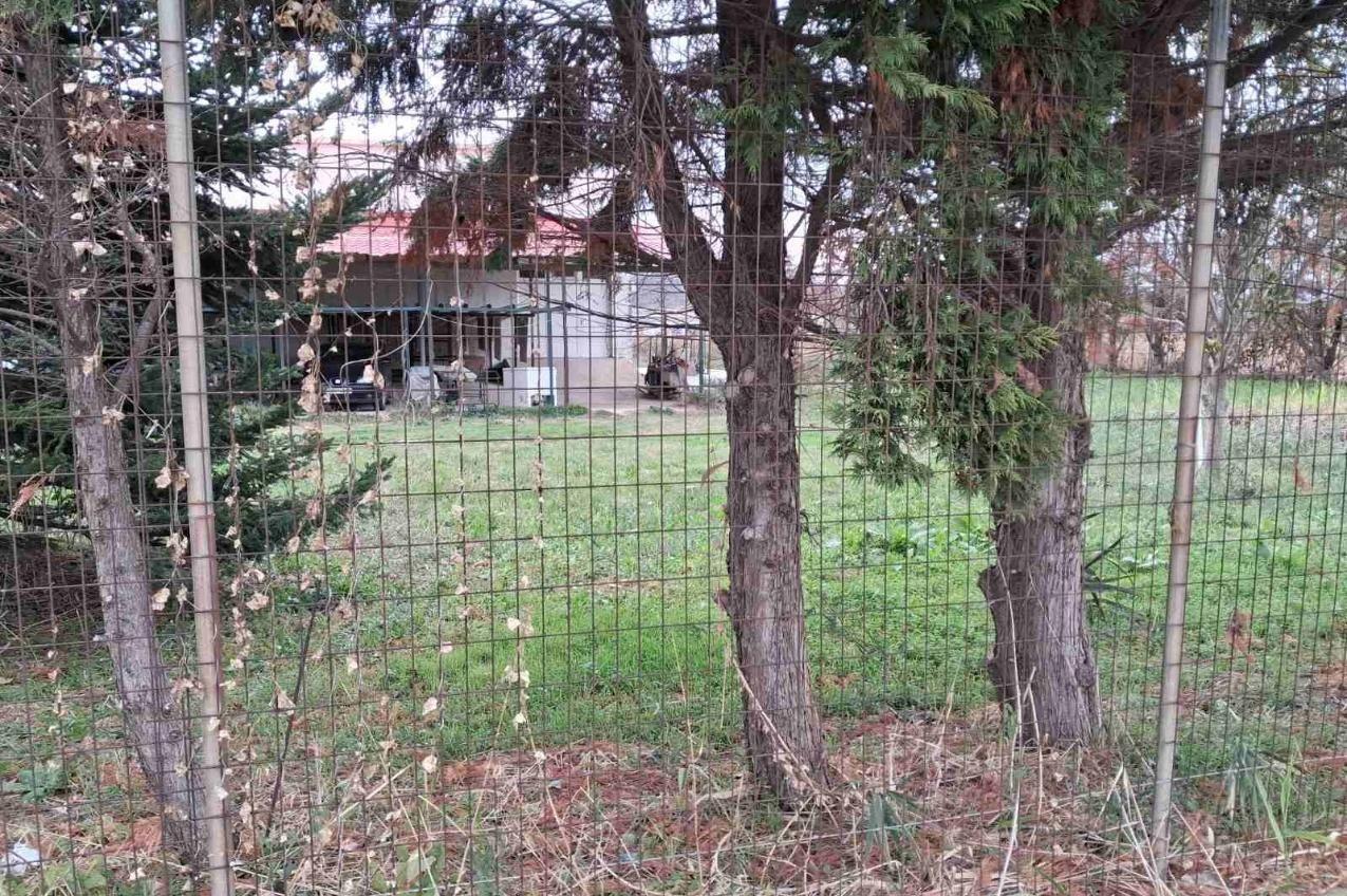 Αγροτεμάχιο με κτίσμα  σε πλειστηριασμό Δήμος Αλεξανδρούπολης