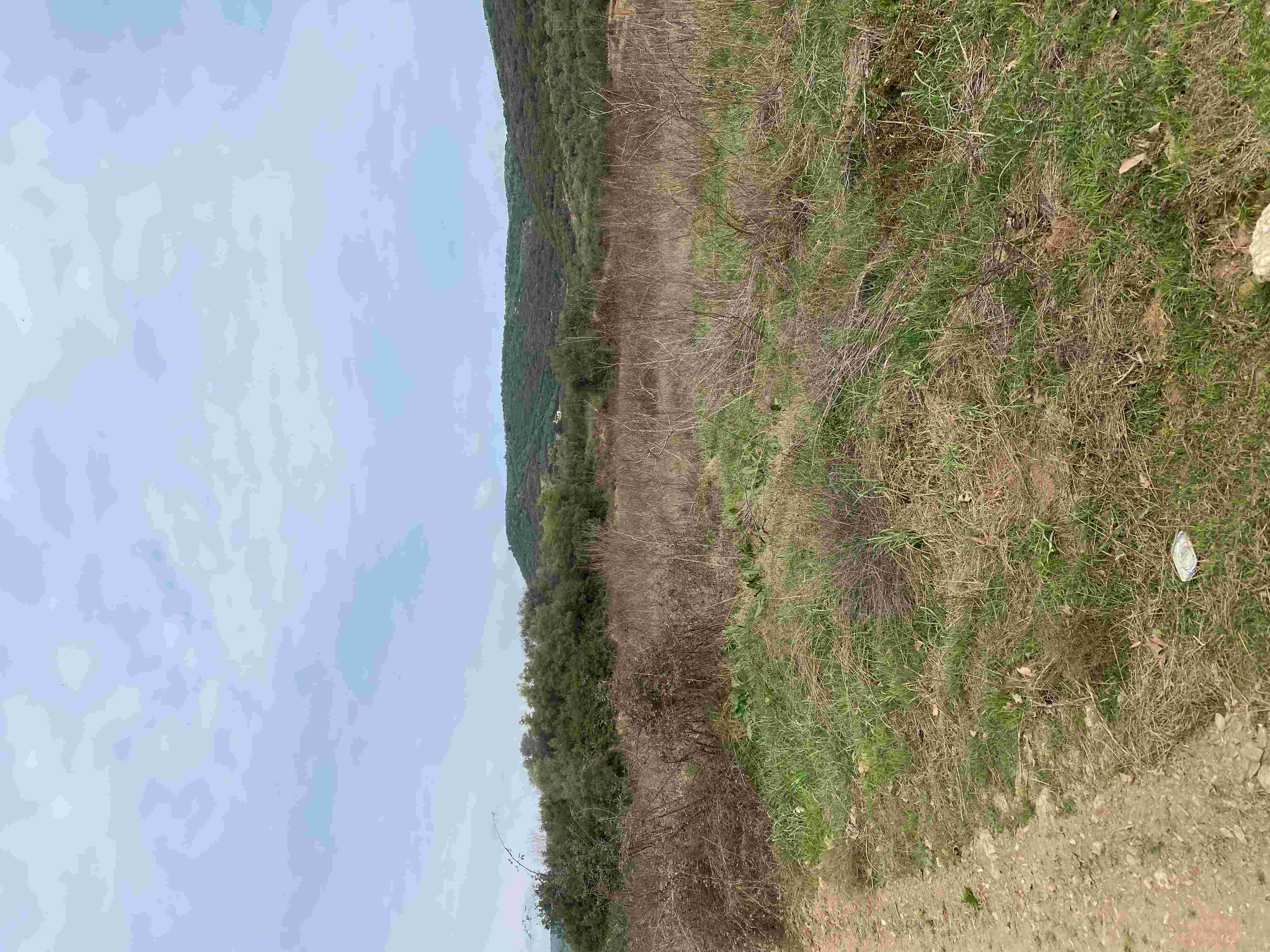 Αγροτεμάχιο 4453.80 τ.μ. σε πλειστηριασμό Δήμος Πολυγύρου