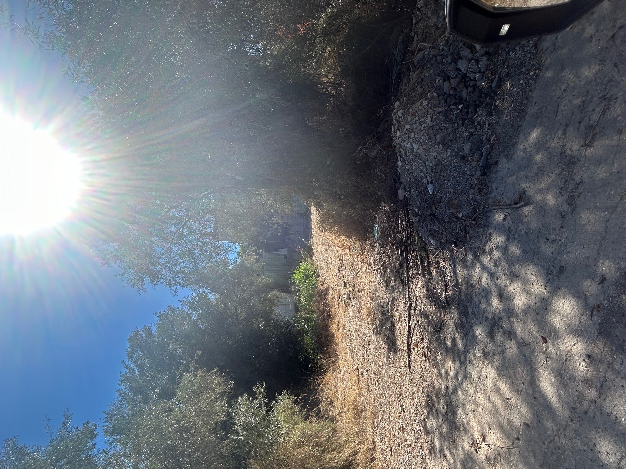 Οικόπεδο 250.04 τ.μ. σε πλειστηριασμό Δήμος Τανάγρας