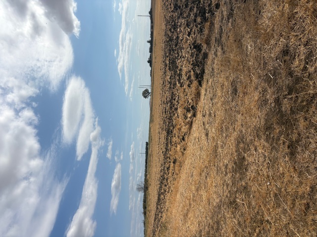 Αγροτεμάχιο  σε πλειστηριασμό Δήμος Κομοτηνής