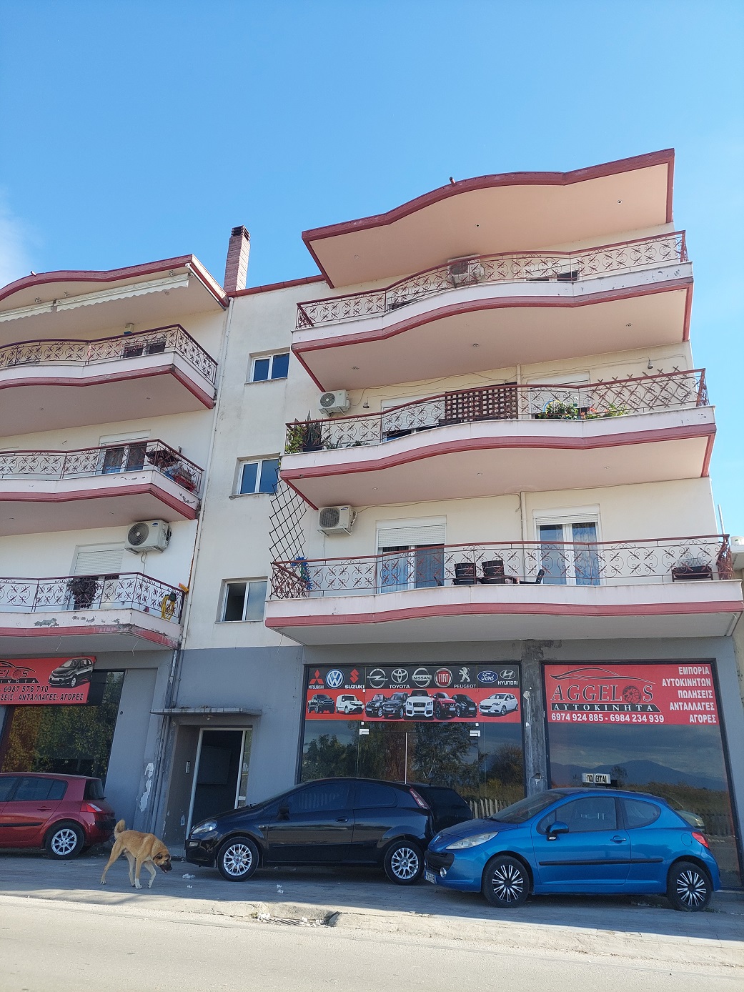 Κατοικία  σε πλειστηριασμό Δήμος Αλεξάνδρειας