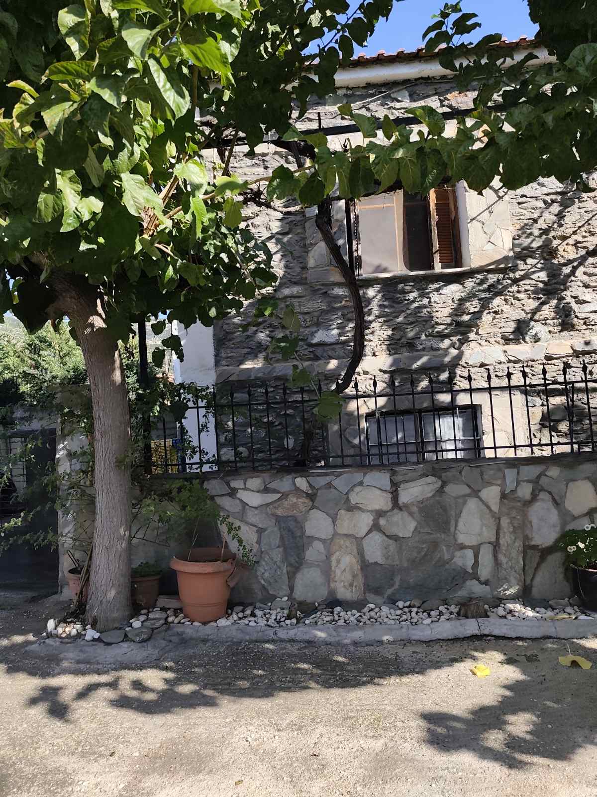 Οικόπεδο με κτίσμα  σε πλειστηριασμό Municipality of Tempo