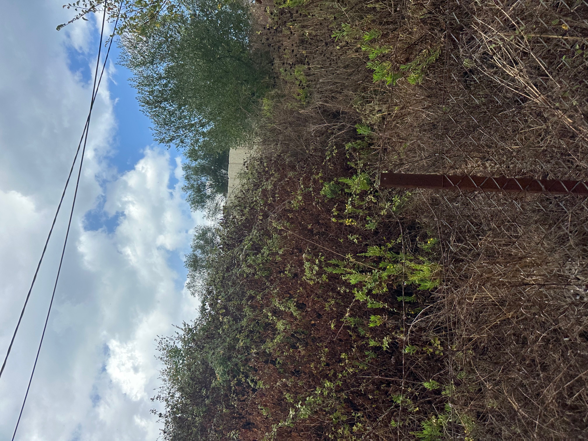 Αγροτεμάχιο με κτίσμα  σε πλειστηριασμό Δήμος Κέρκυρας