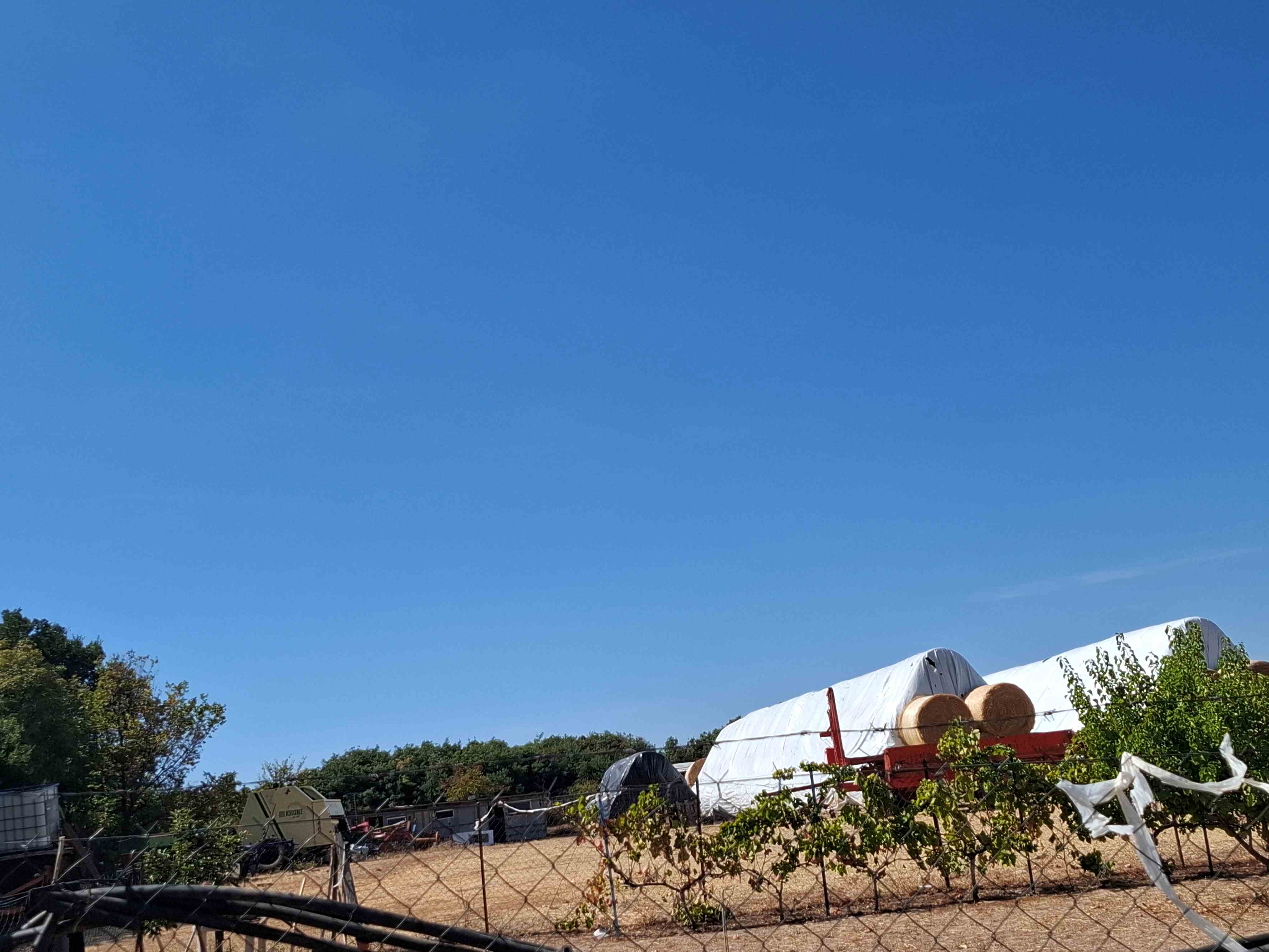 Αγροτεμάχιο με κτίσμα 26146 τ.μ. σε πλειστηριασμό Δήμος Αμφίπολης