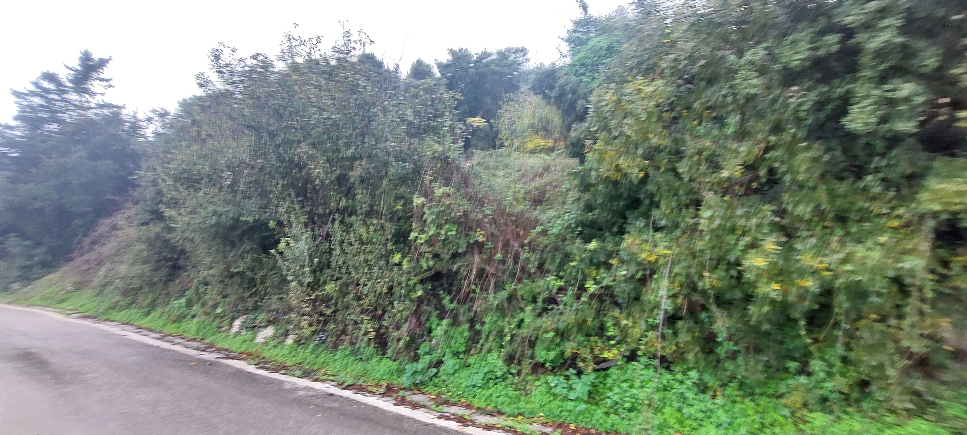 Οικόπεδο  σε πλειστηριασμό Δήμος Κεφαλονιάς