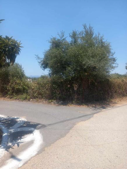 Αγροτεμάχιο  σε πλειστηριασμό Municipality of Messina