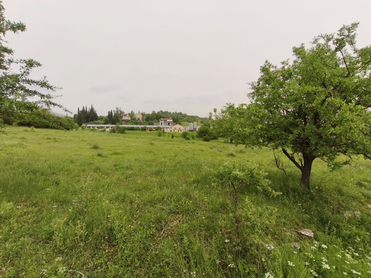 Αγροτεμάχιο 5699 τ.μ. σε πλειστηριασμό Δήμος Τρίπολης