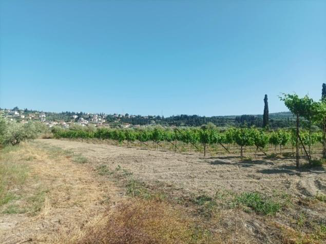 Αγροτεμάχιο 0 τ.μ. σε πλειστηριασμό Δήμος Ξυλοκάστρου - Ευρωστίνης