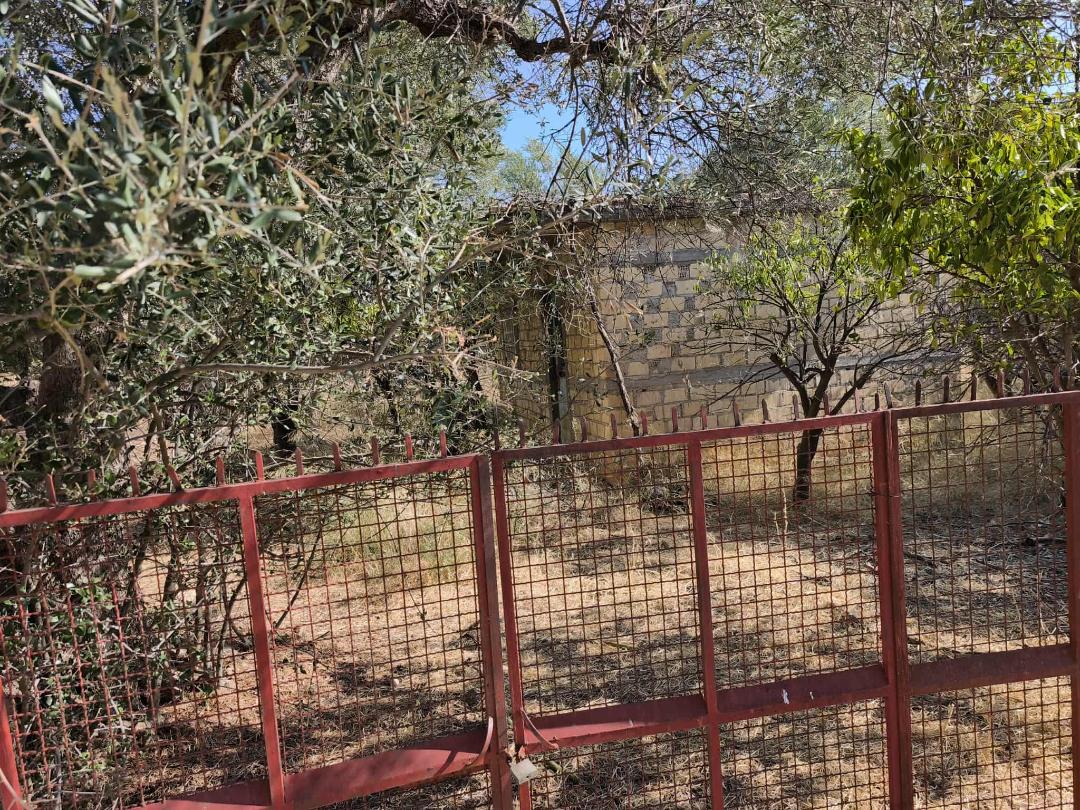 Αγροτεμάχιο με κτίσμα 813.35 τ.μ. σε πλειστηριασμό Δήμος Αιγιαλείας