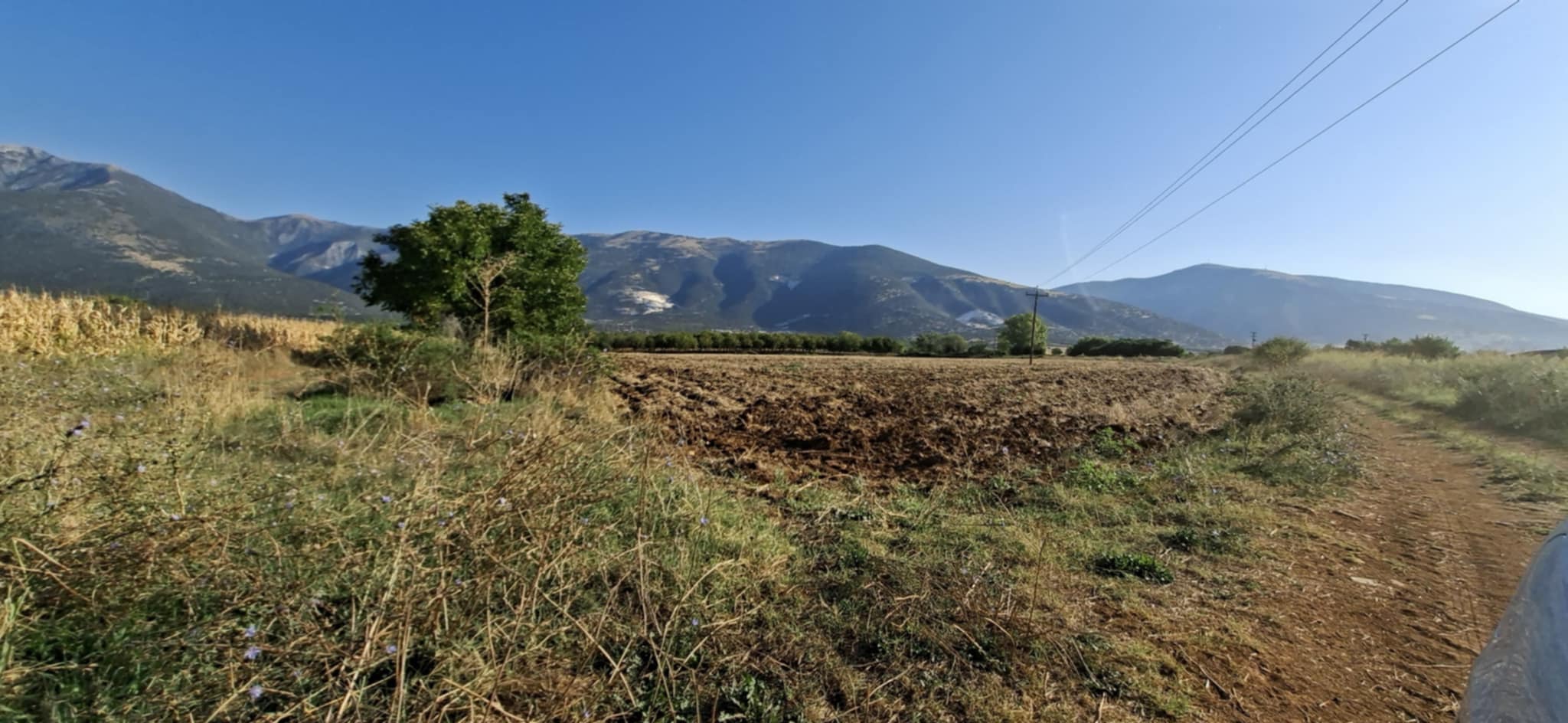 Αγροτεμάχιο 5258 τ.μ. σε πλειστηριασμό Δήμος Προσοτσάνης