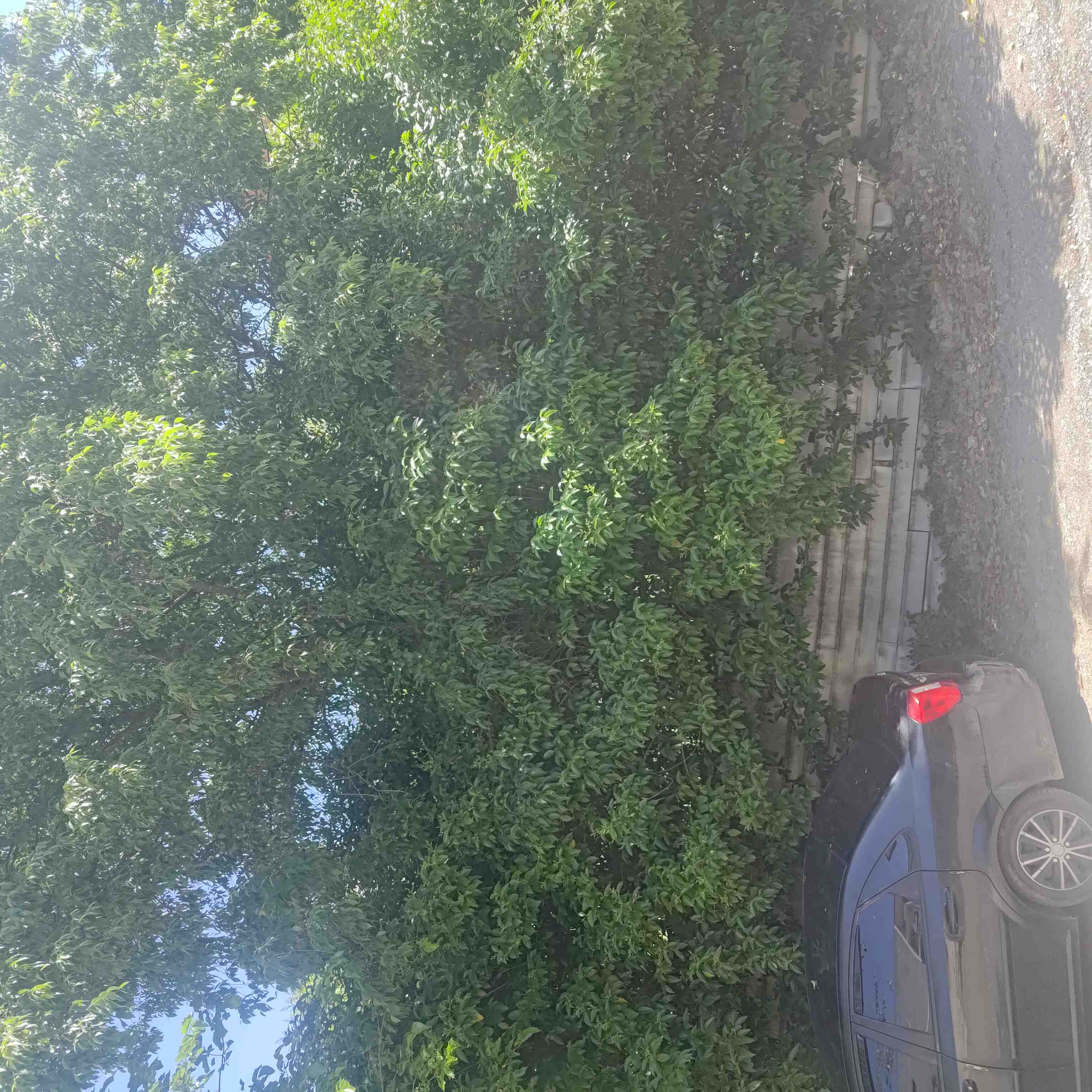 Οικόπεδο 372 sq.m. σε πλειστηριασμό Municipality of Pylaia - Hortiati