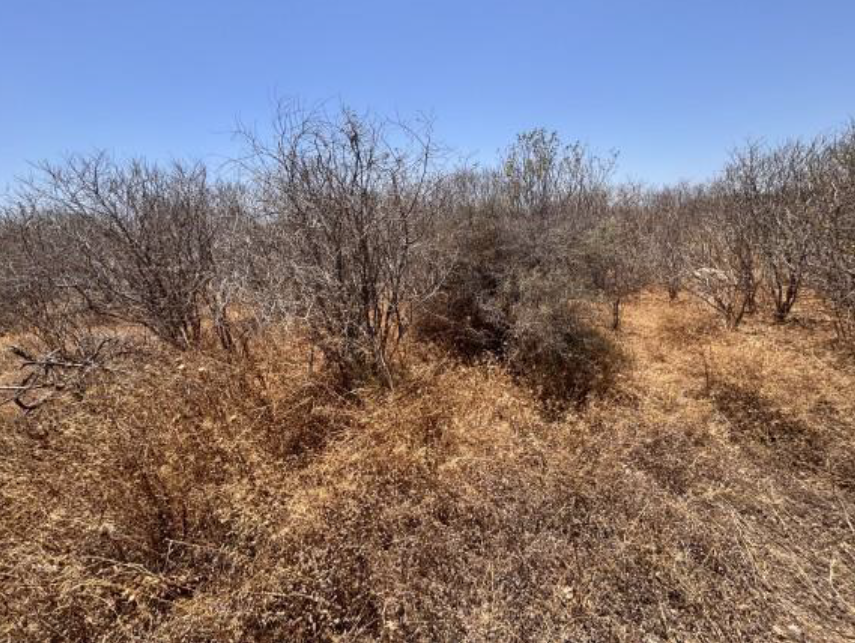 Οικόπεδο  σε πλειστηριασμό Municipality of Rhodes