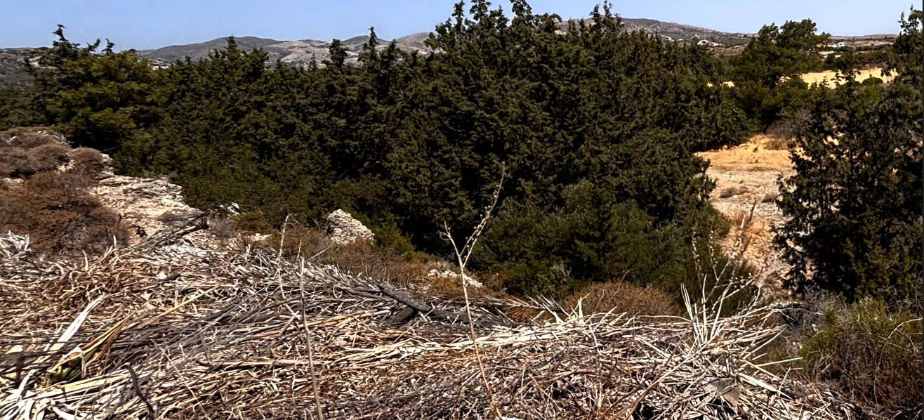 Κατοικία  σε πλειστηριασμό Δήμος Ρόδου