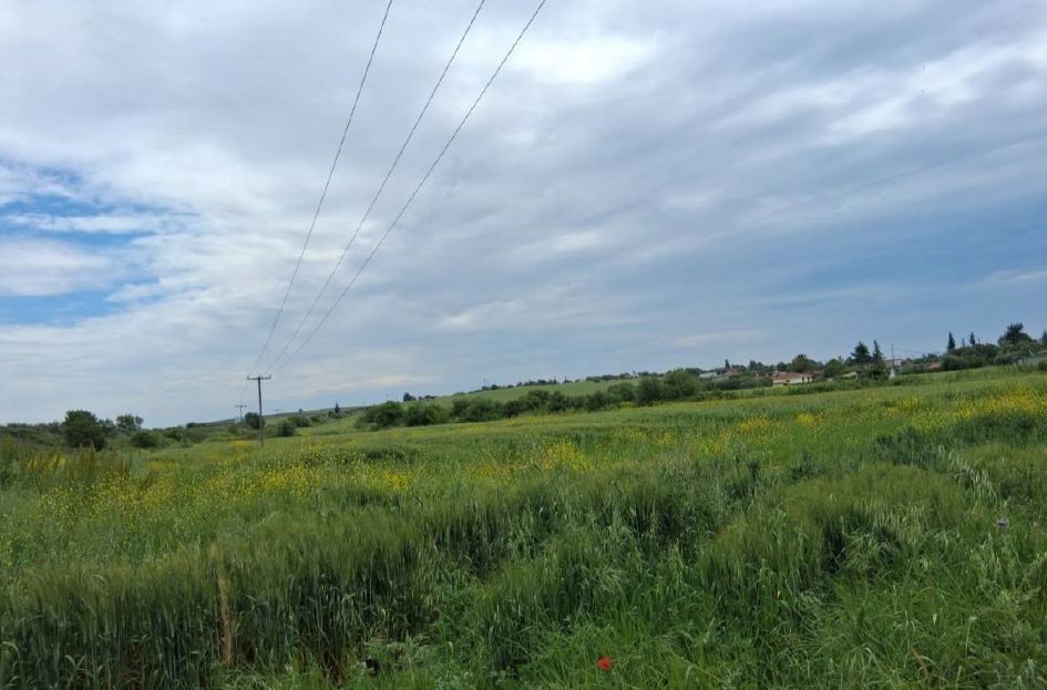 Αγροτεμάχιο  σε πλειστηριασμό Δήμος Νέας Προποντίδας