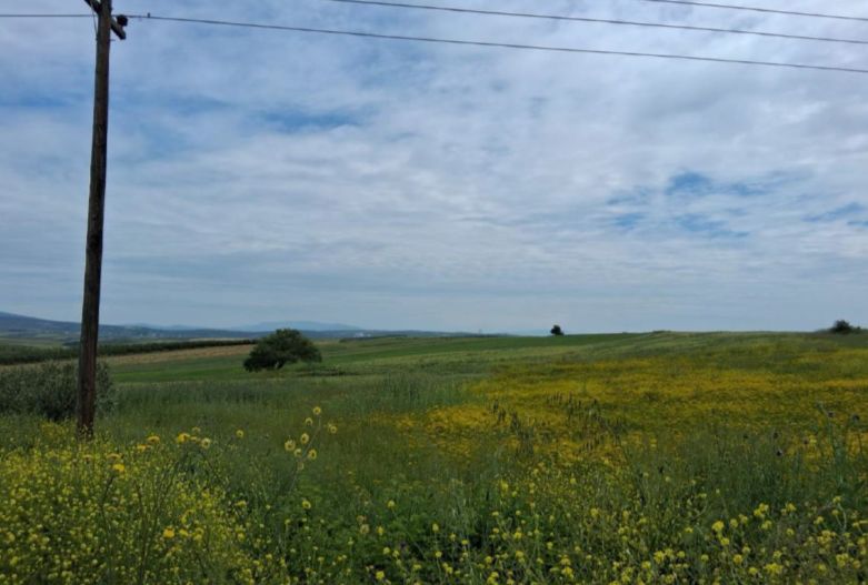 Αγροτεμάχιο  σε πλειστηριασμό Δήμος Νέας Προποντίδας