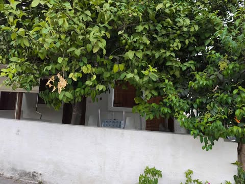 Κατοικία 966.82 sq.m. σε πλειστηριασμό Municipality of Aegialia