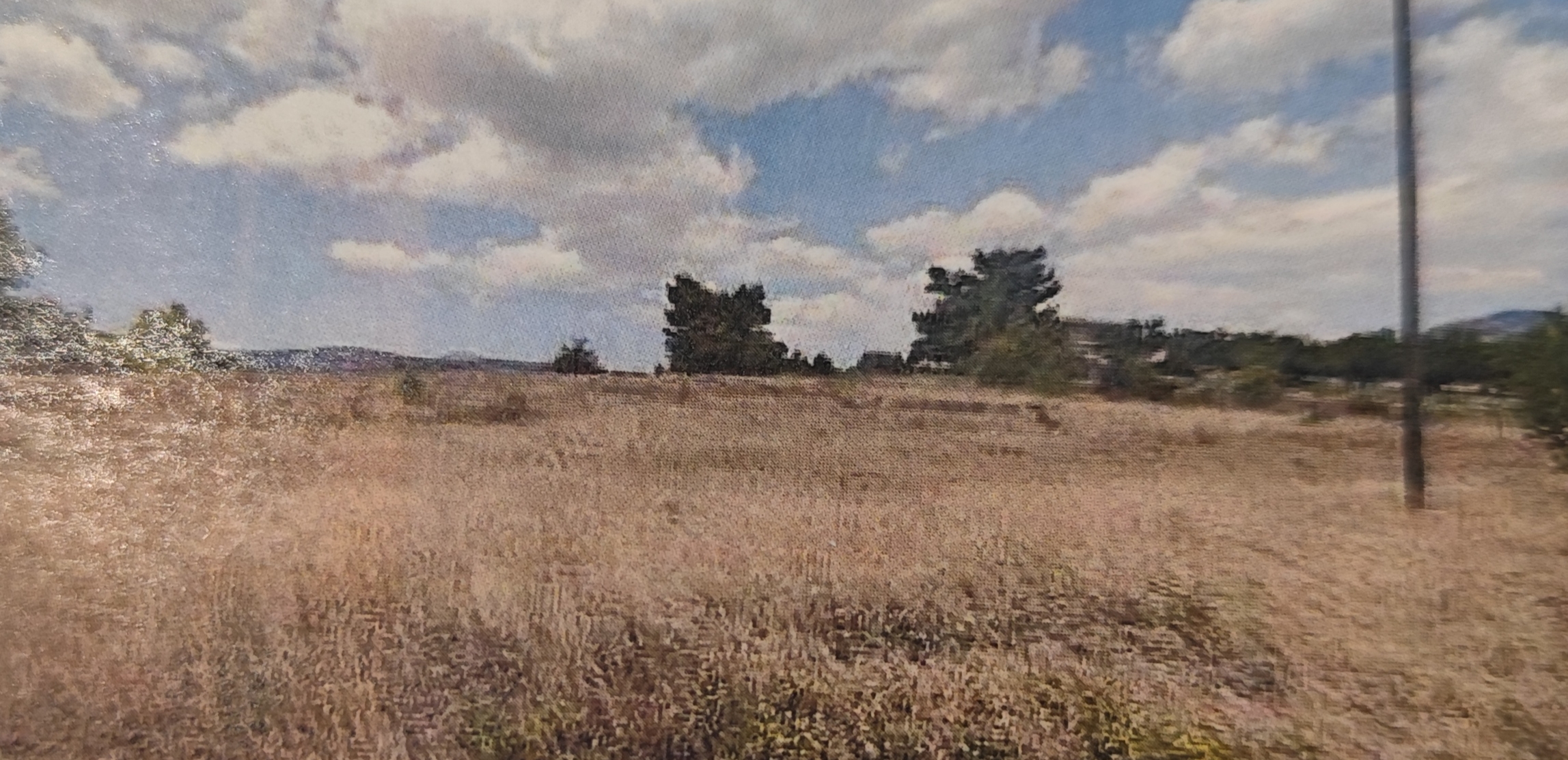 Αγροτεμάχιο  σε πλειστηριασμό Municipality of Mandra - Idyllia