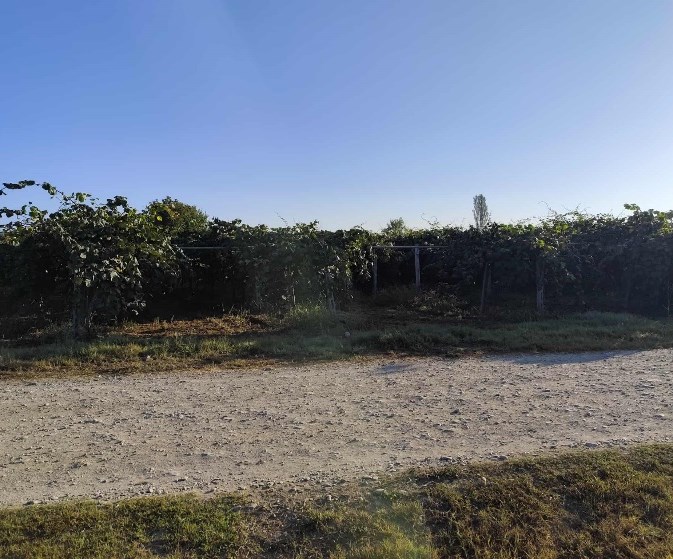 Αγροτεμάχιο 125 τ.μ. σε πλειστηριασμό Δήμος Ηρωικής Πόλεως Νάουσας