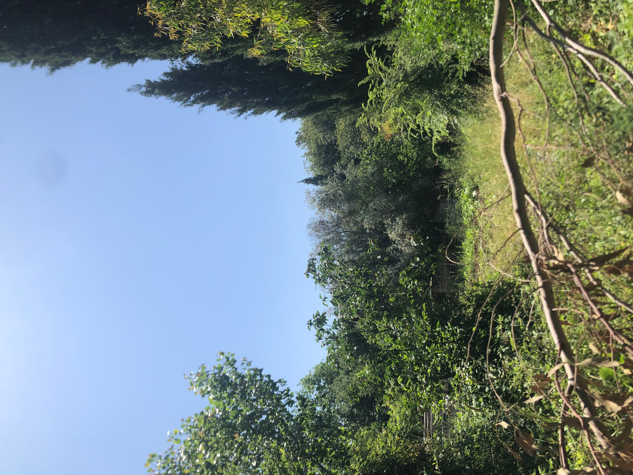 Οικόπεδο με κτίσμα 337.12 sq.m. σε πλειστηριασμό Municipality of Corfu