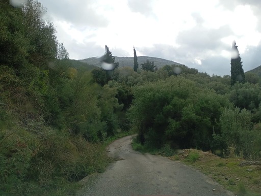 Αγροτεμάχιο  σε πλειστηριασμό Δήμος Ηγουμενίτσας