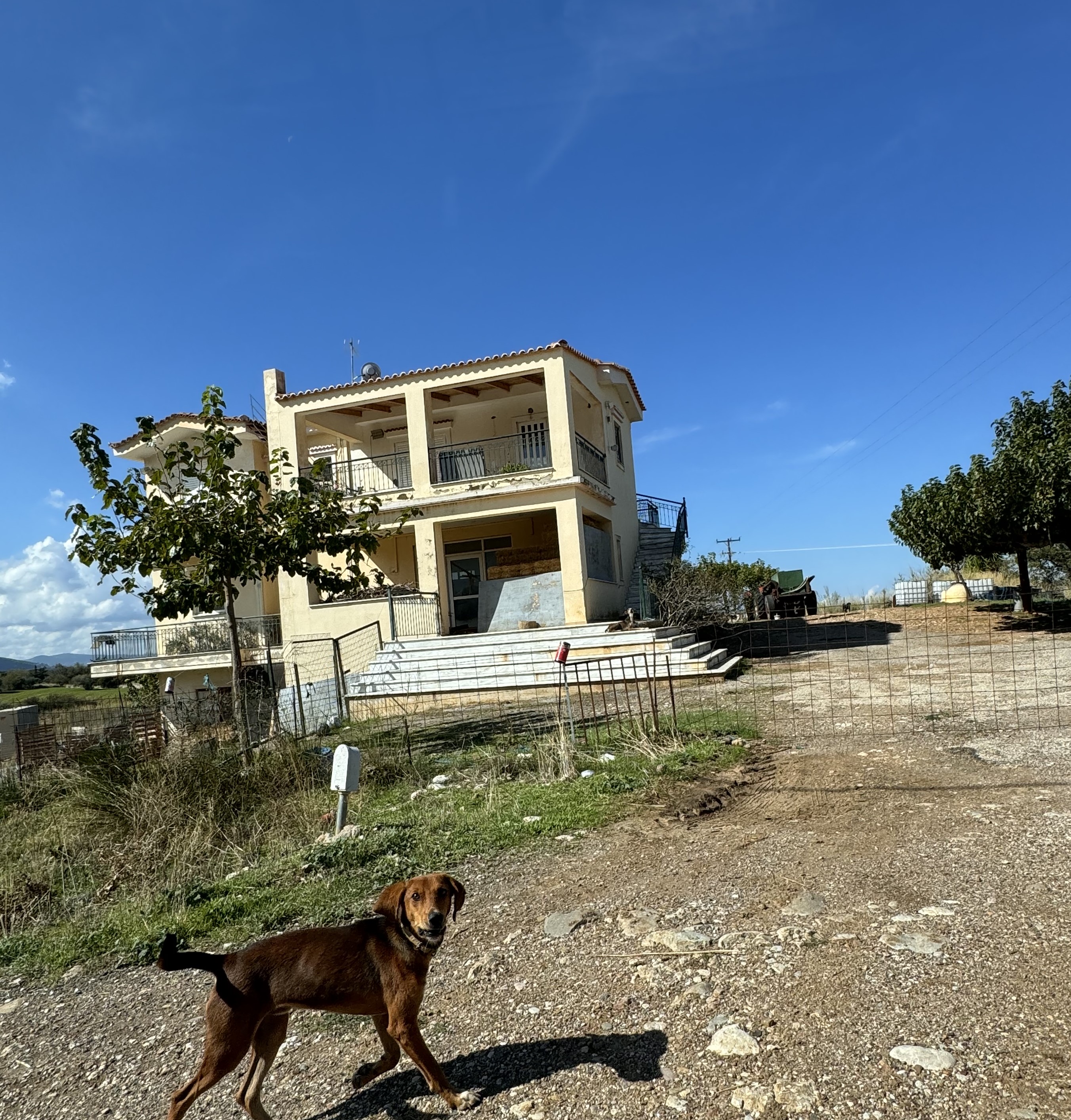 Κατάστημα  σε πλειστηριασμό Δήμος Ερυμάνθου
