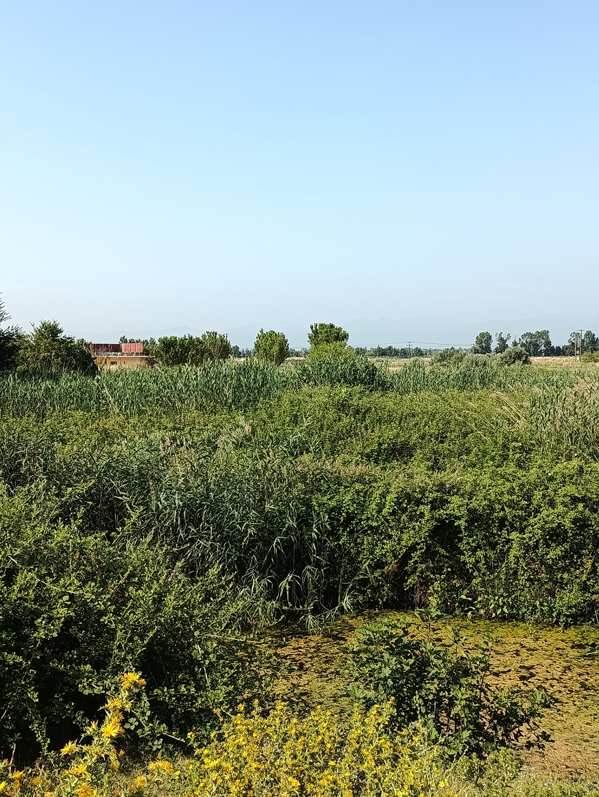 Αγροτεμάχιο 790 τ.μ. σε πλειστηριασμό Δήμος Φαρκαδόνας