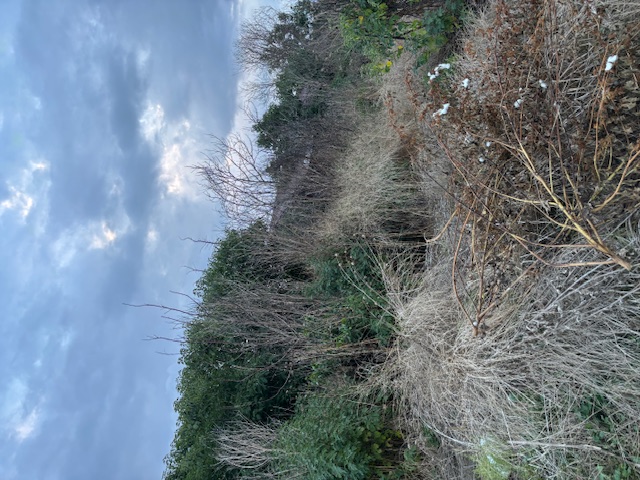 Οικόπεδο με κτίσμα 199.52 τ.μ. σε πλειστηριασμό Δήμος Τυρνάβου