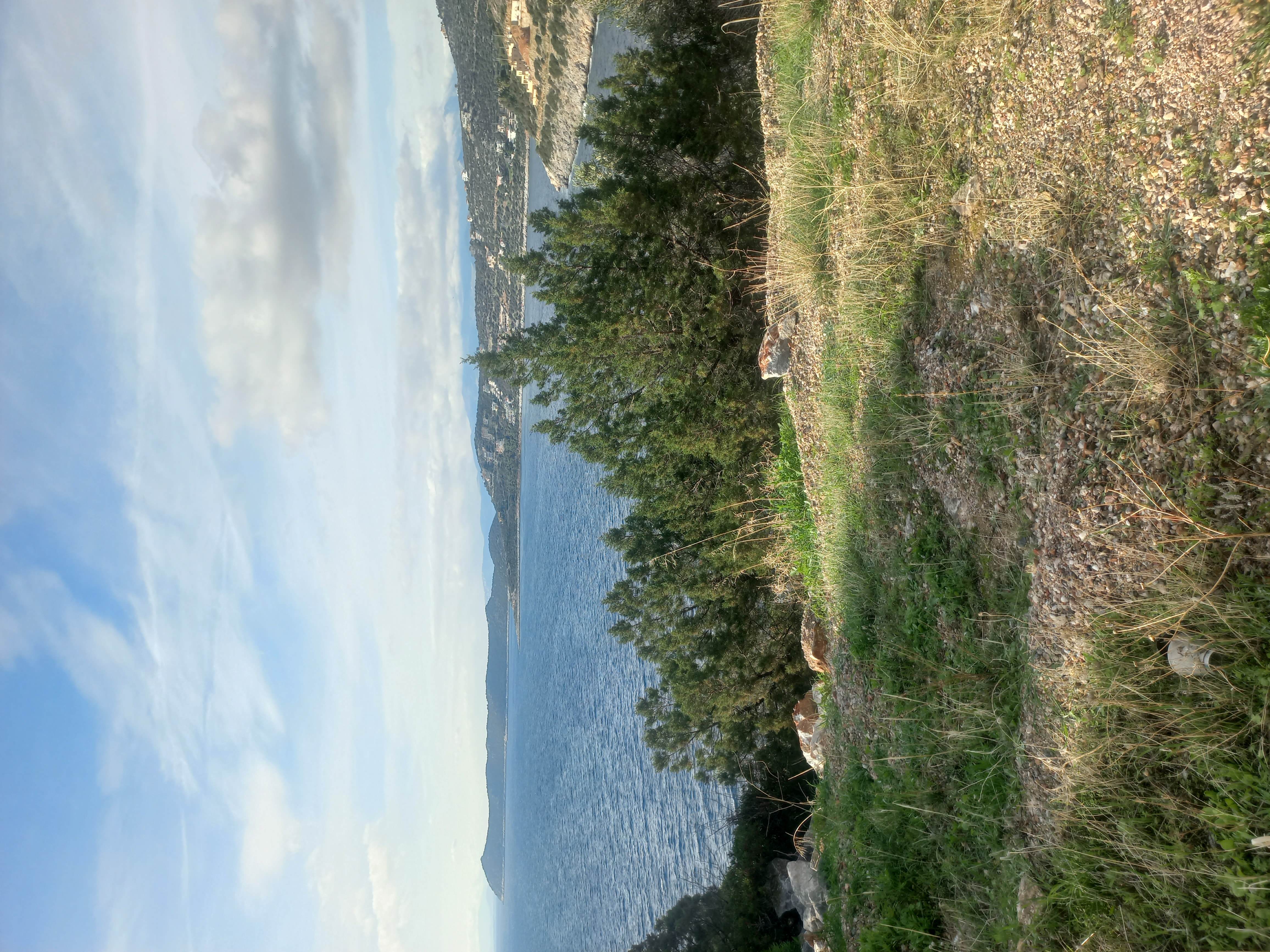 Οικόπεδο  σε πλειστηριασμό Δήμος Μαραθώνος