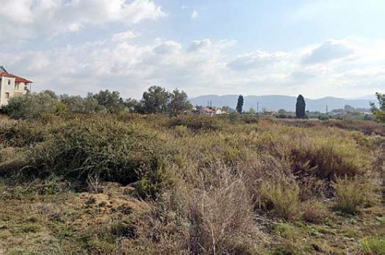 Οικόπεδο 1013 τ.μ. σε πλειστηριασμό Δήμος Ωρωπού