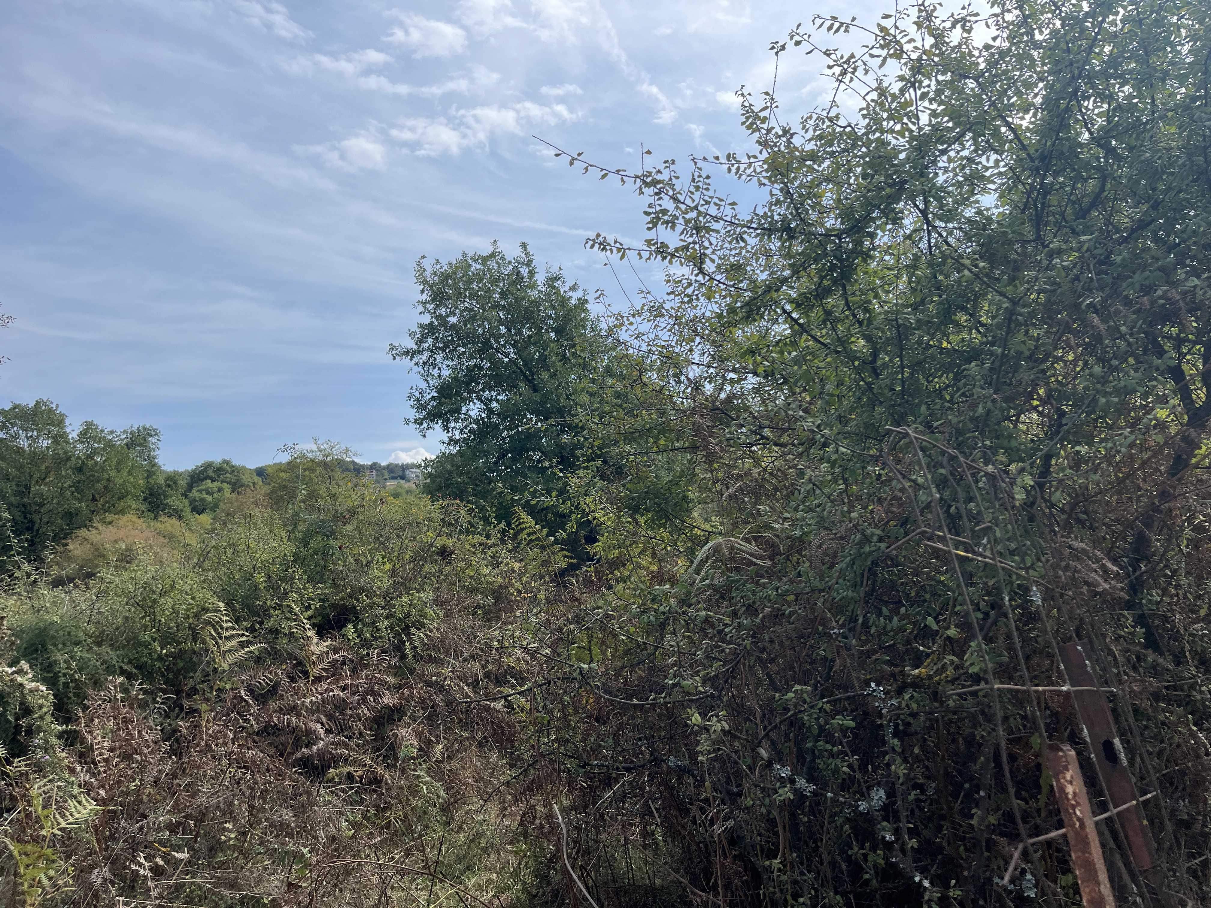 Αγροτεμάχιο με κτίσμα 106.84 τ.μ. σε πλειστηριασμό Δήμος Ιωαννιτών