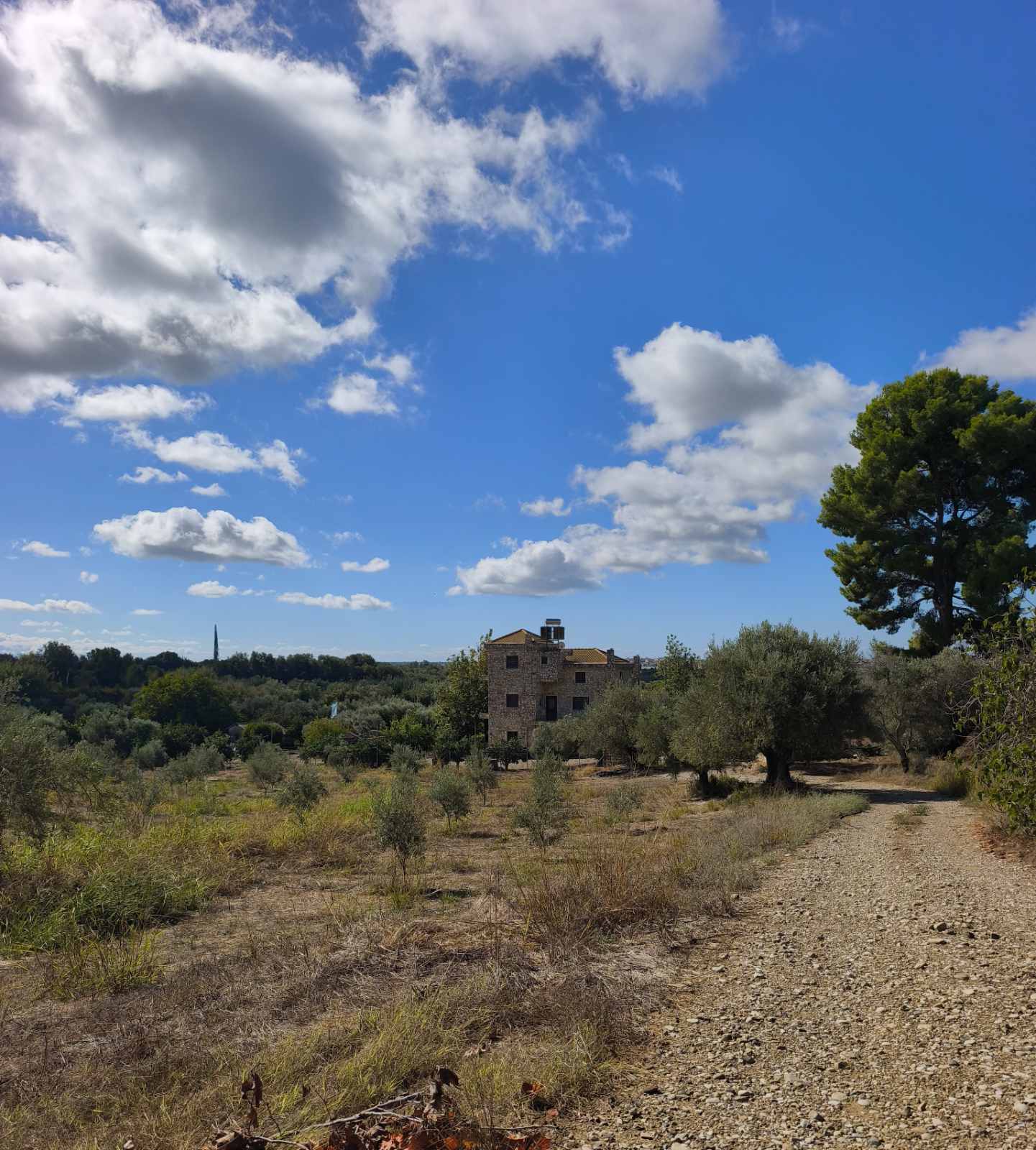 Κατοικία  σε πλειστηριασμό Municipality of Pyrgos