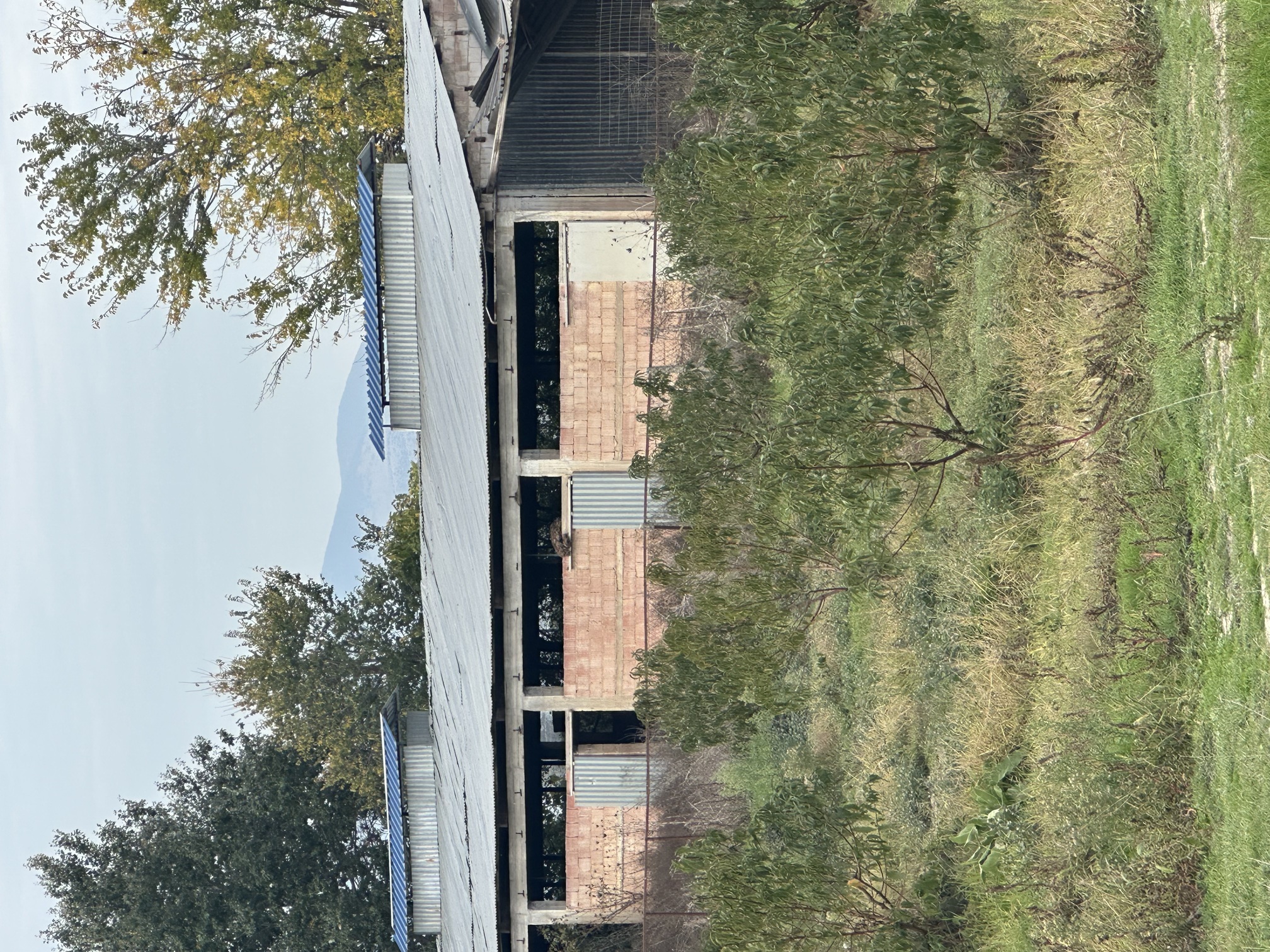 Αγροτεμάχιο με κτίσμα 460 τ.μ. σε πλειστηριασμό Δήμος Τυρνάβου