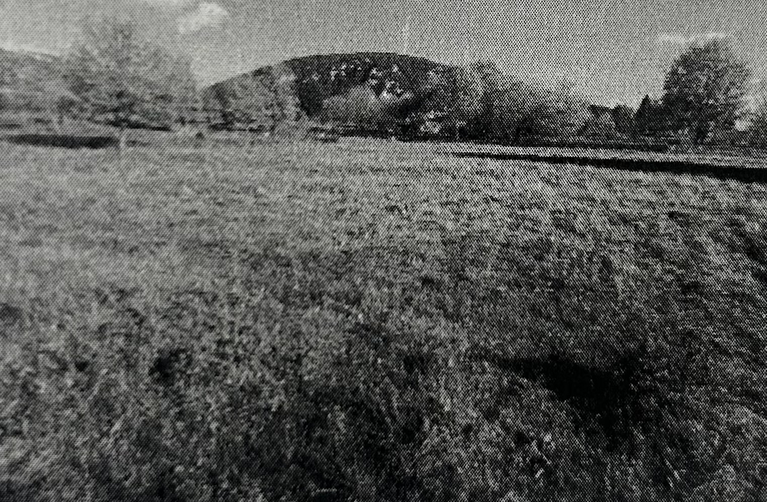 Αγροτεμάχιο  σε πλειστηριασμό Δήμος Λεβαδέων