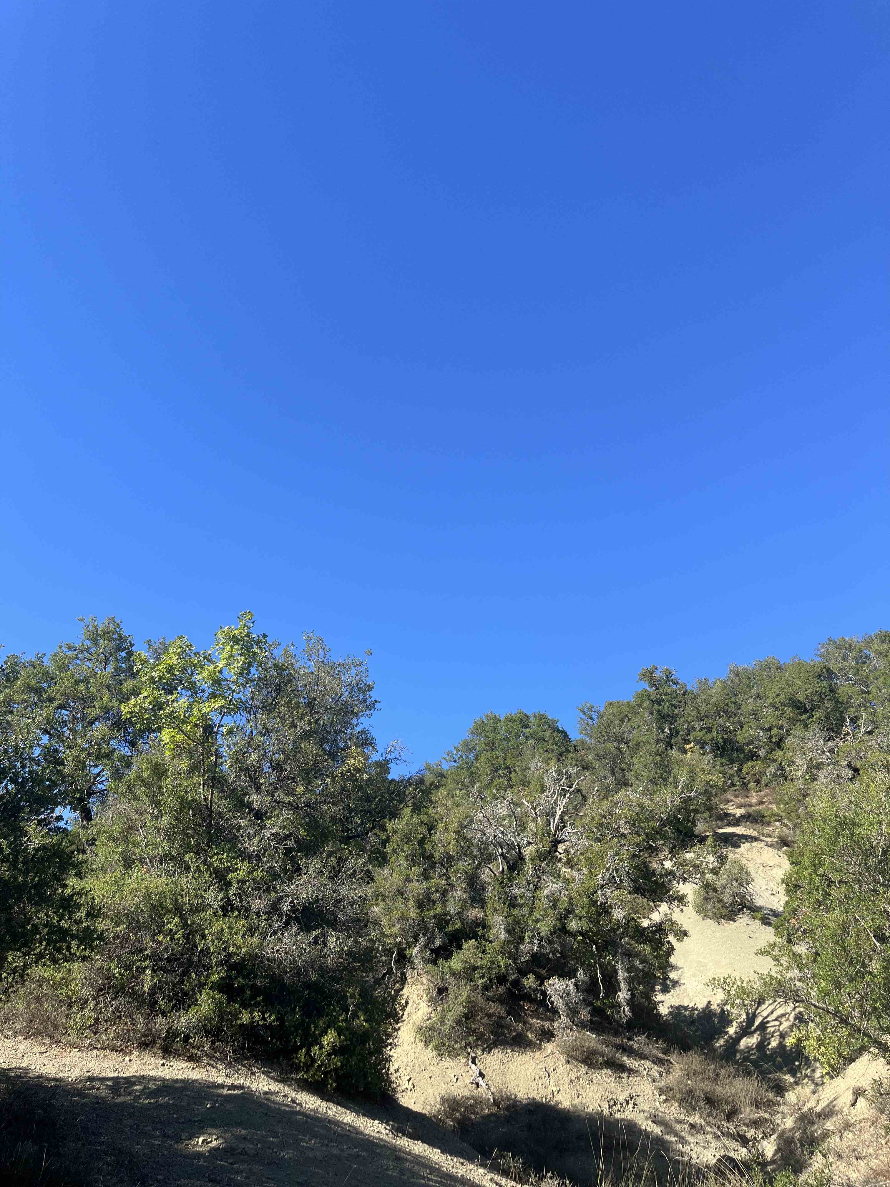 Αγροτεμάχιο 938 τ.μ. σε πλειστηριασμό Δήμος Ζίτσας