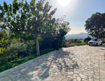 Οικόπεδο 896.27 τ.μ. σε πλειστηριασμό Δήμος Ερυμάνθου