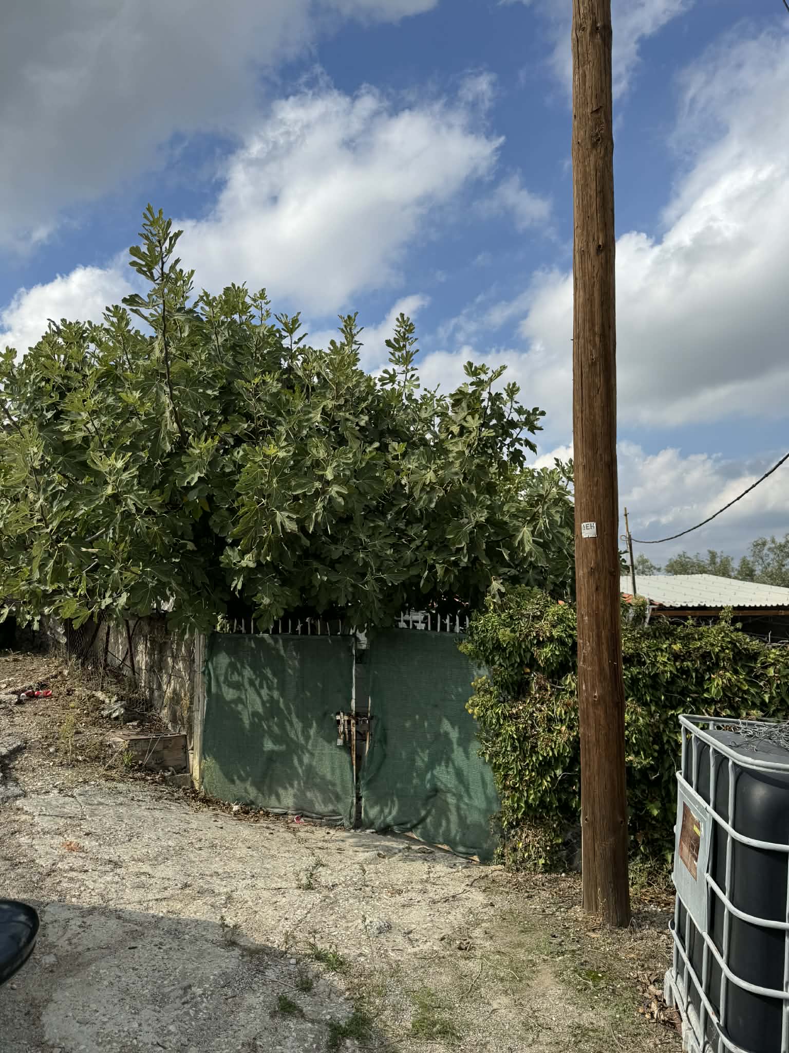 Οικόπεδο με κτίσμα 807.90 sq.m. σε πλειστηριασμό Municipality of Velos - Vochas