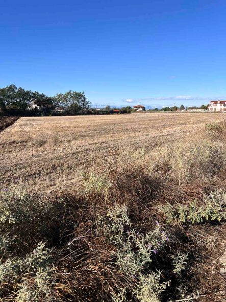 Αγροτεμάχιο  σε πλειστηριασμό Δήμος Θέρμης