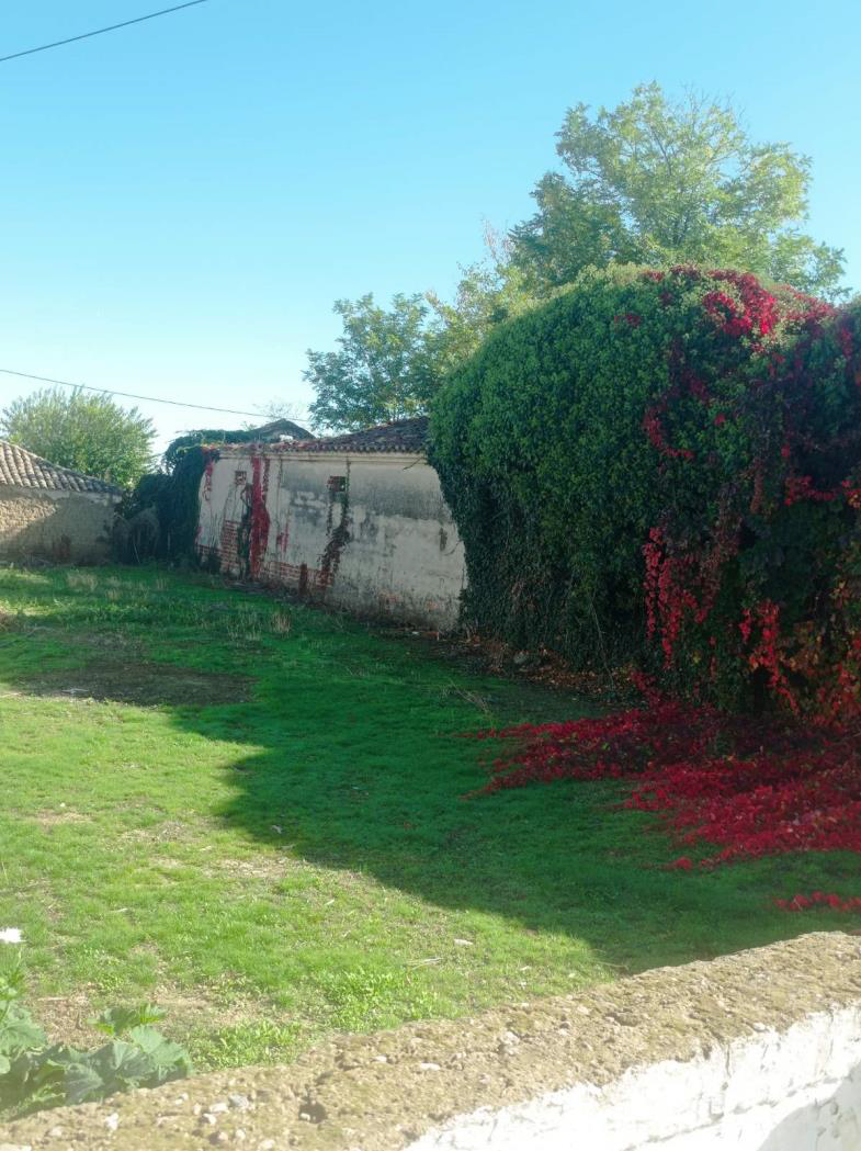 Οικόπεδο με κτίσμα 740 τ.μ. σε πλειστηριασμό Δήμος Αβδήρων