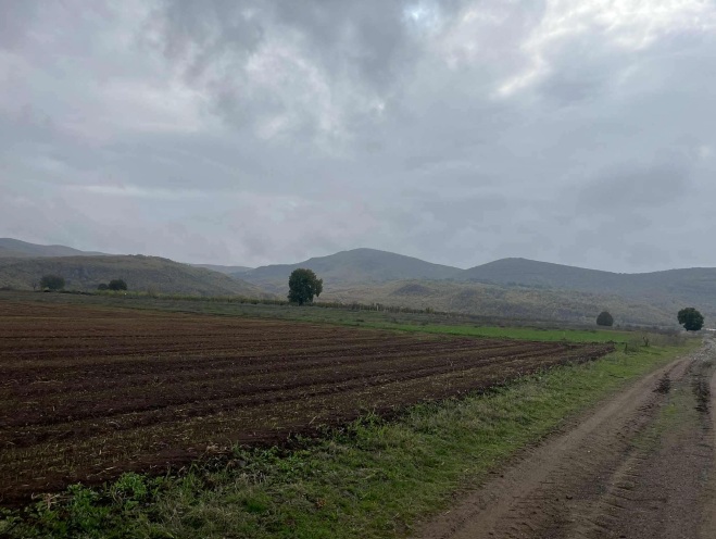 Αγροτεμάχιο 4000 sq.m. σε πλειστηριασμό Municipality of Grevena