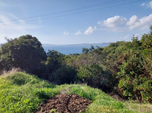 Αγροτεμάχιο 4290 sq.m. σε πλειστηριασμό Aristotle Municipality