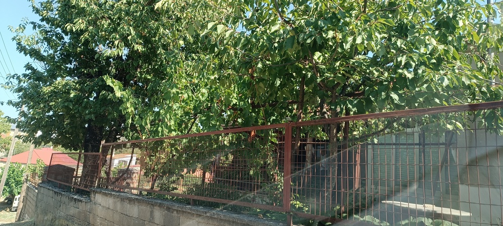 Κατοικία  σε πλειστηριασμό Δήμος Ζίτσας