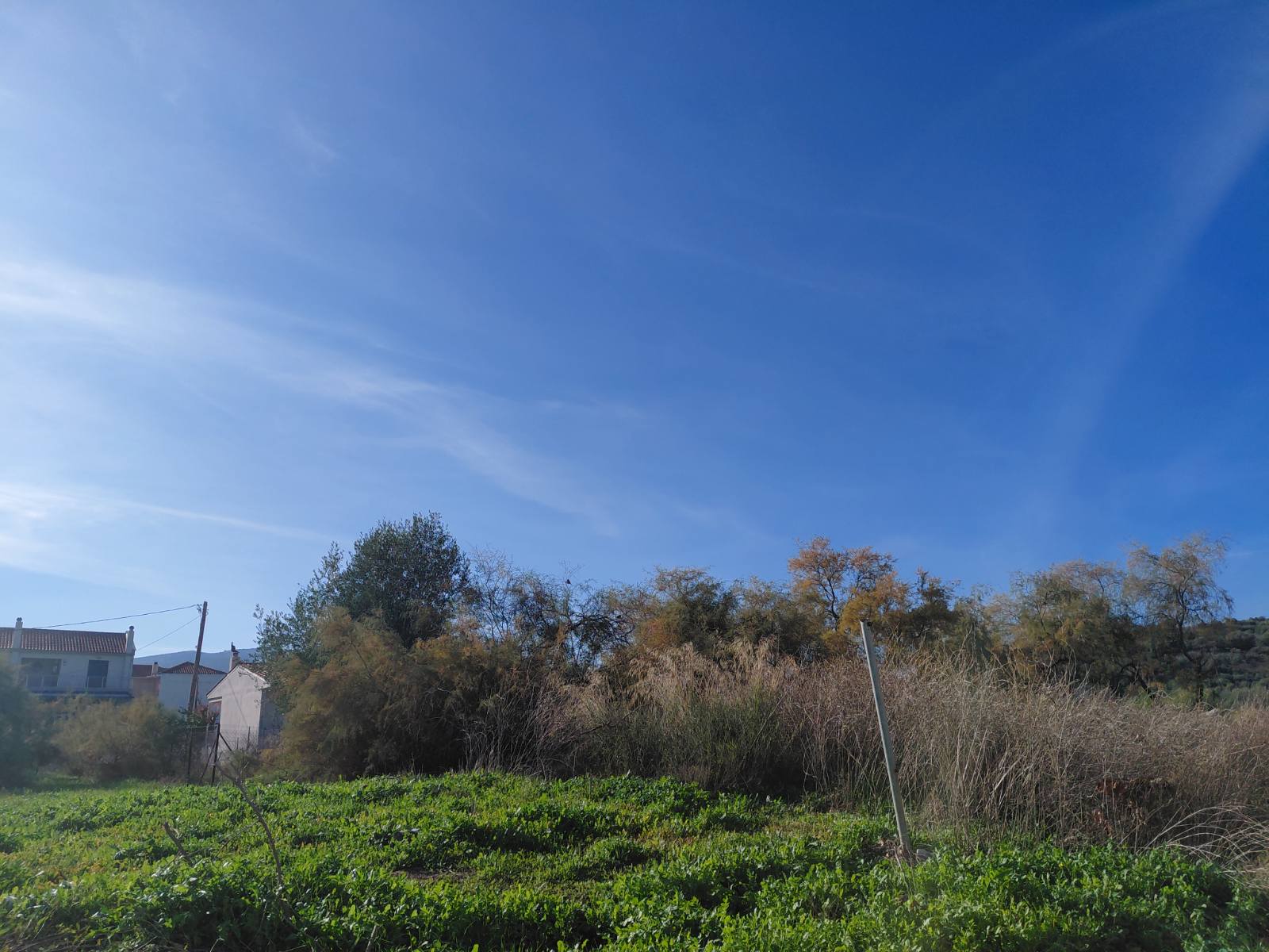 Οικόπεδο 472.50 sq.m. σε πλειστηριασμό Municipality of Volos